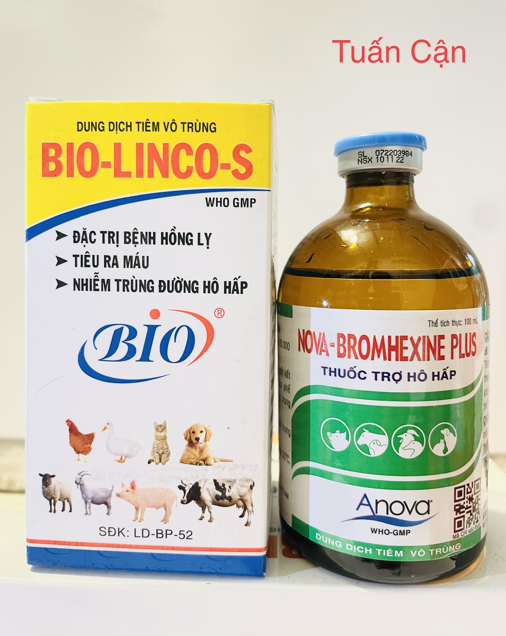 Bio Linco S _Combo Bio LincoS + Bromhenxin Plus Dứt điểm hen khẹc, vảy mỏ, sưng phù đầu, bọt mắt tiêu chảy phân xanh, phân trắng