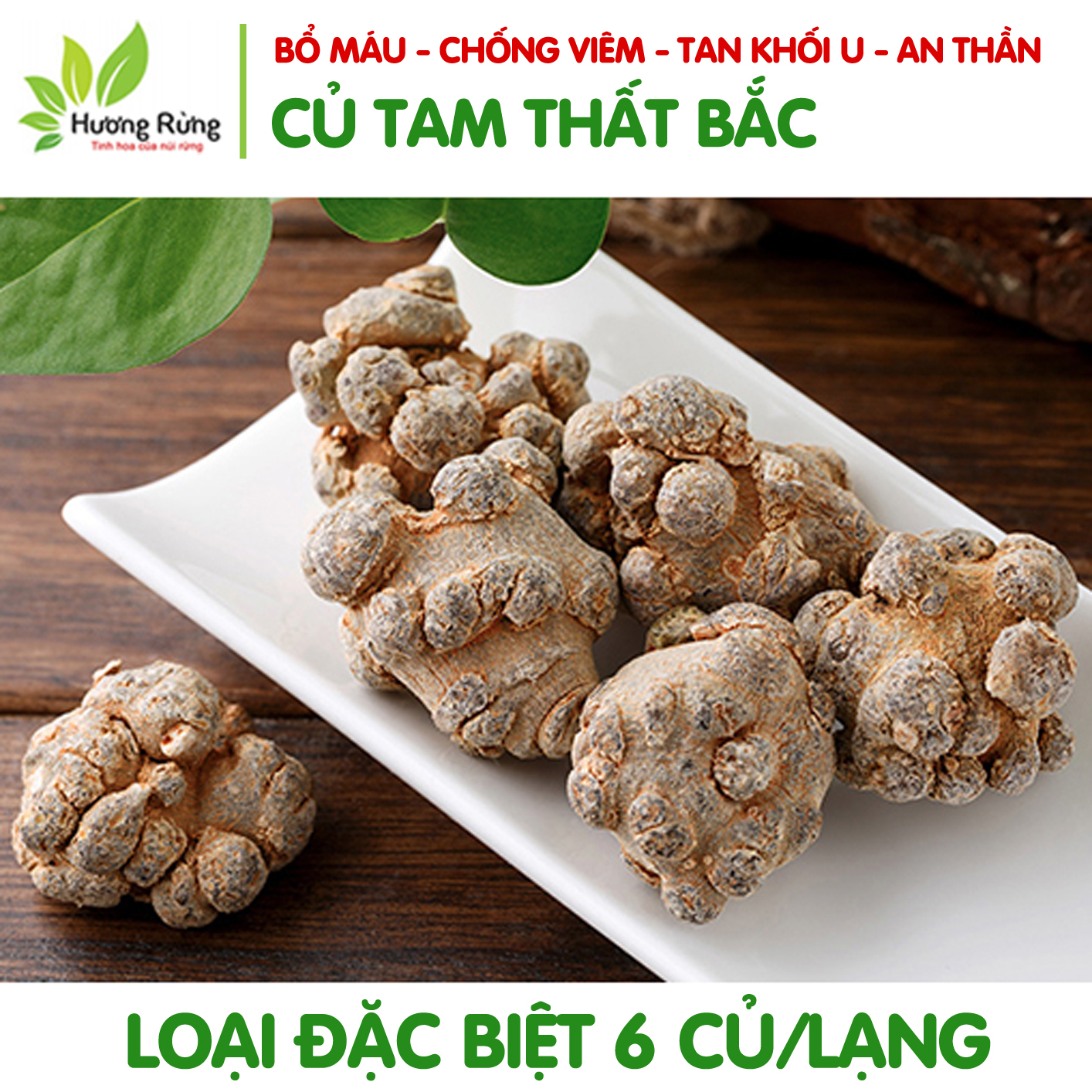[HCM]CỦ TAM THẤT BẮC 100g đặc biệt 6 củ - Đặc Sản Hương Rừng