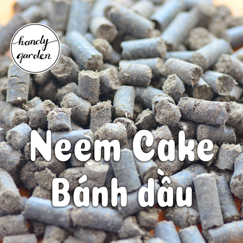 Neem Cake Mix - Bánh dầu Neem trị sùng đất, tuyến trùng, cuốn chiếu, kích rễ mầm hoa | HandyGarden
