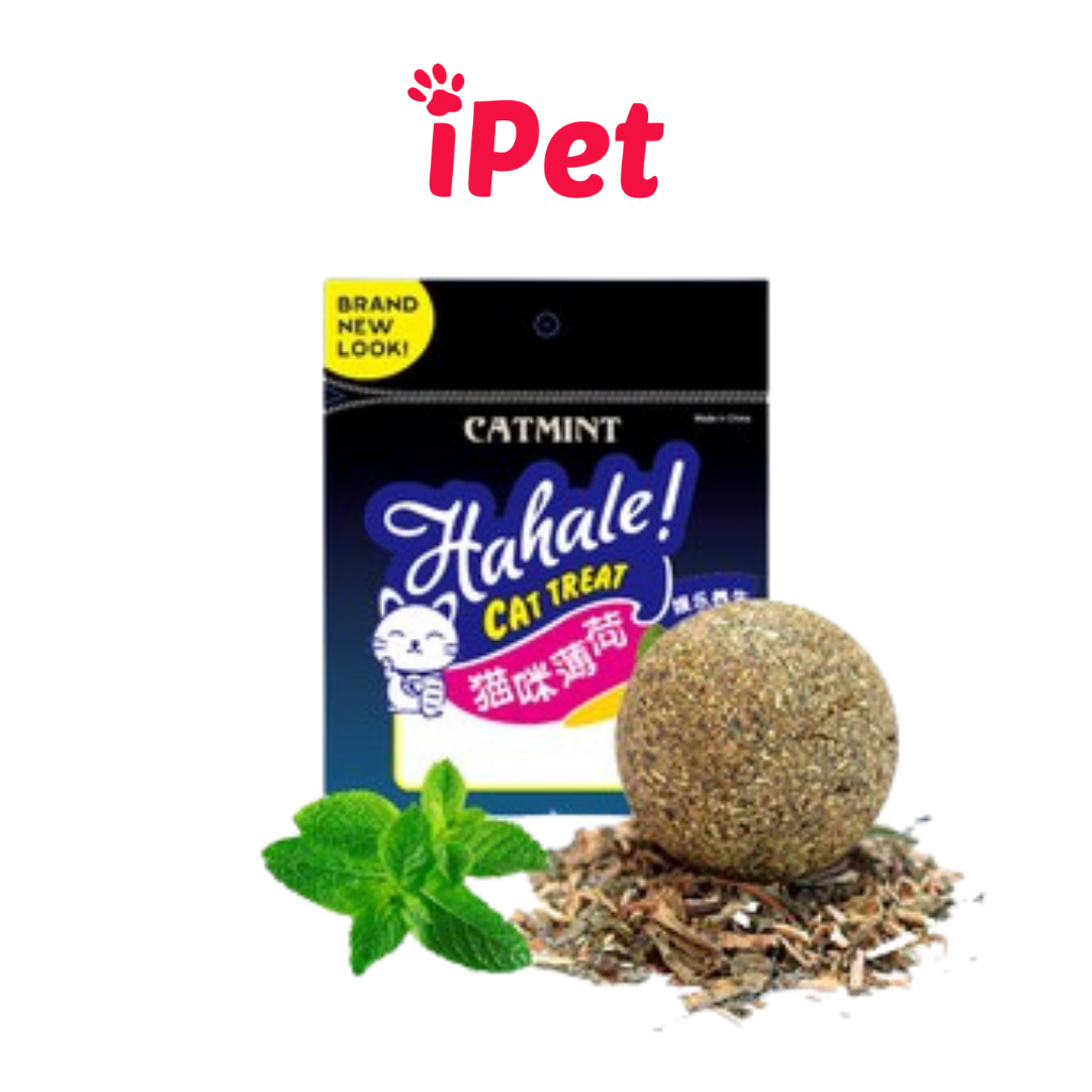 Bóng đồ chơi phủ cỏ bạc hà mèo catnip - ipet shop