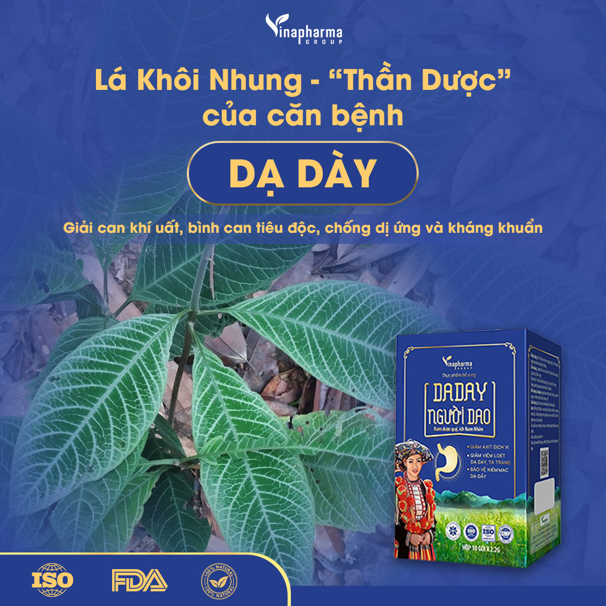 Dạ Dày Người Giao-Hỗ trợ dạ dày, đường ruột