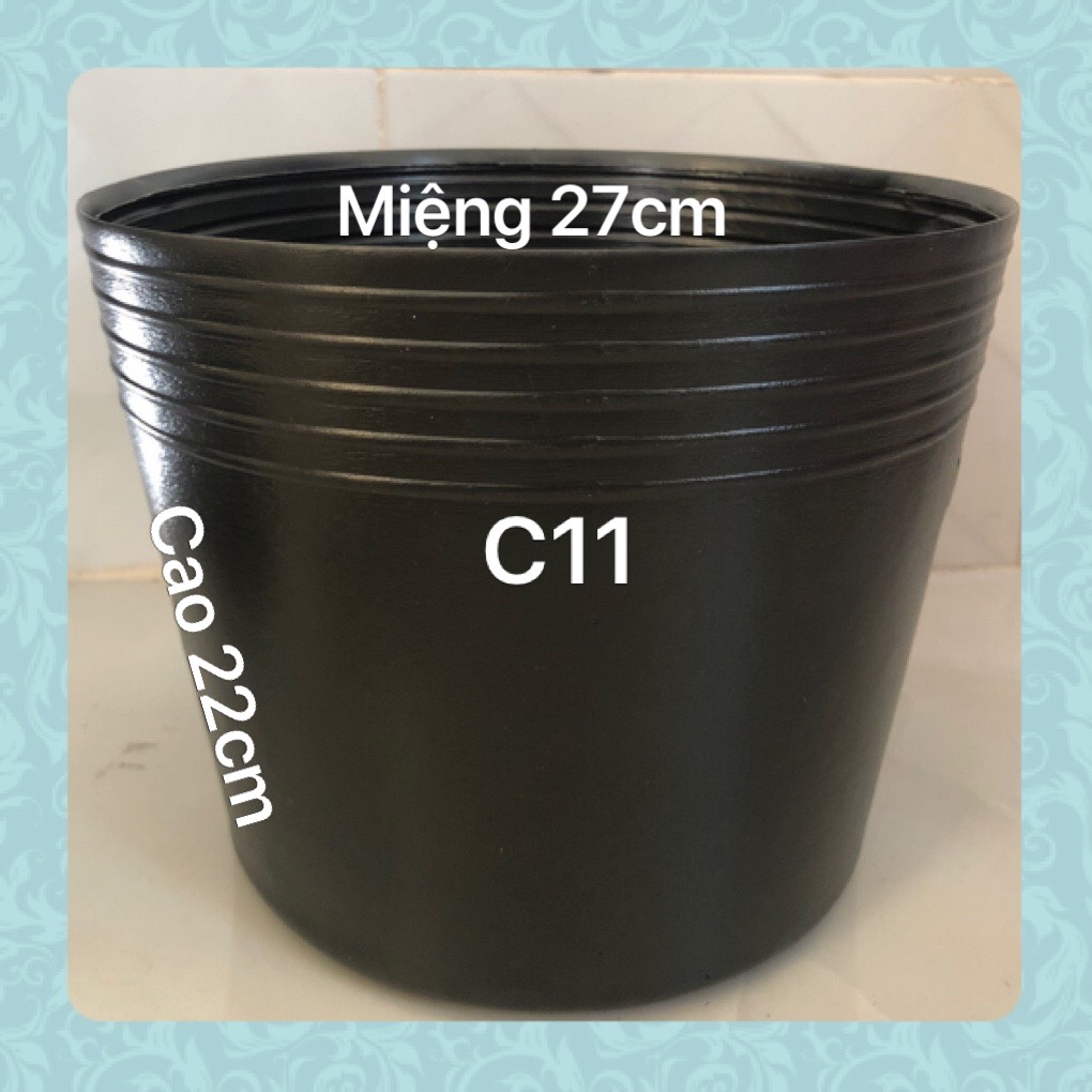 Chậu nhựa trồng cây 50 cái C11 đen