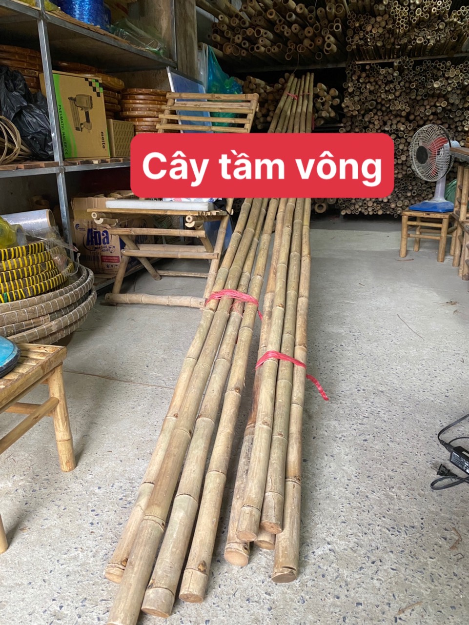 Cây tre tầm vông đường kính gốc 4-5cm dài 1m