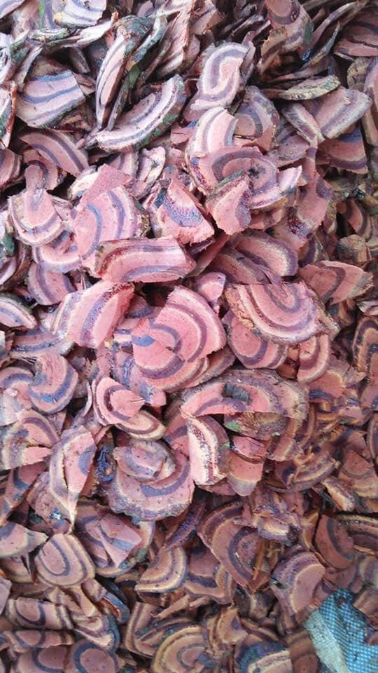 Com Bo 5kg Cây Huyết Đằng- Bố Máu