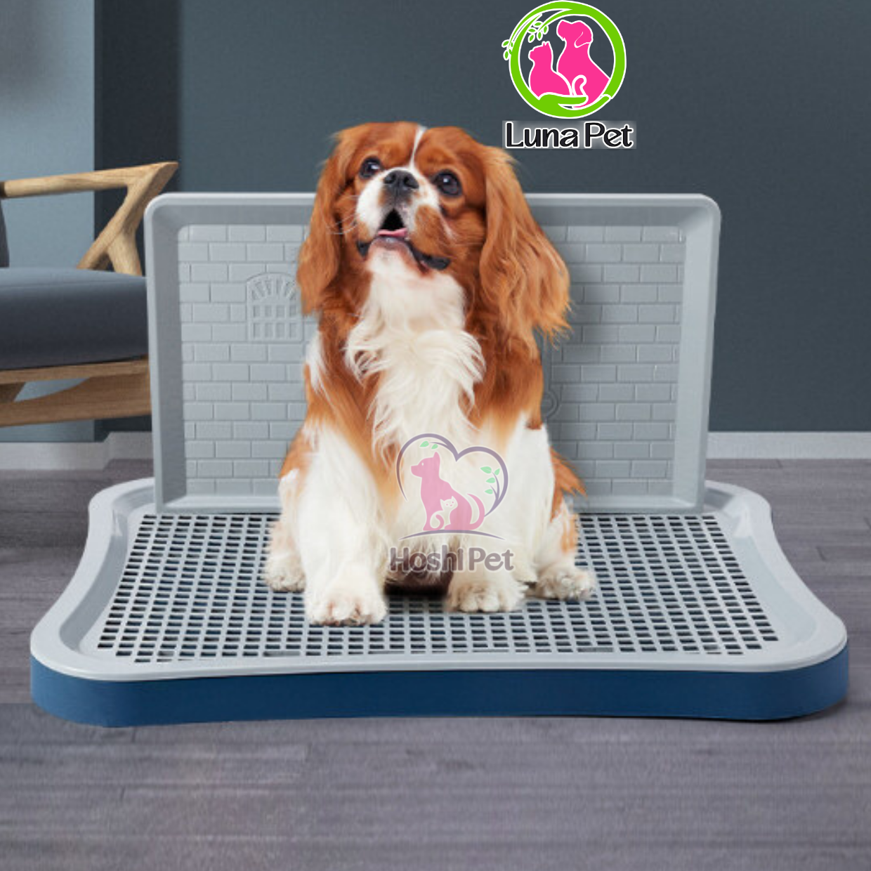 Khay vệ sinh cho chó - khay vệ sinh hướng dẫn chó đi vệ sinh đúng chỗ Luna Pet KC02