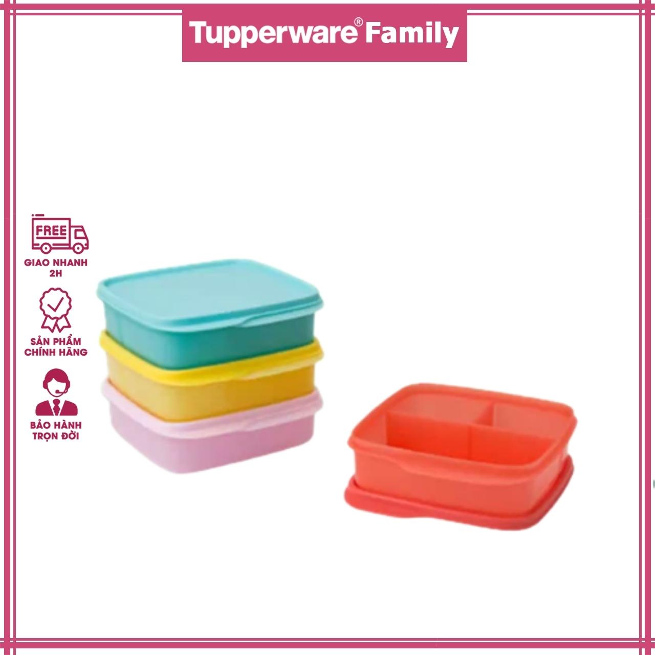 Hộp cơm chia ngăn Lollytup - Tupperware