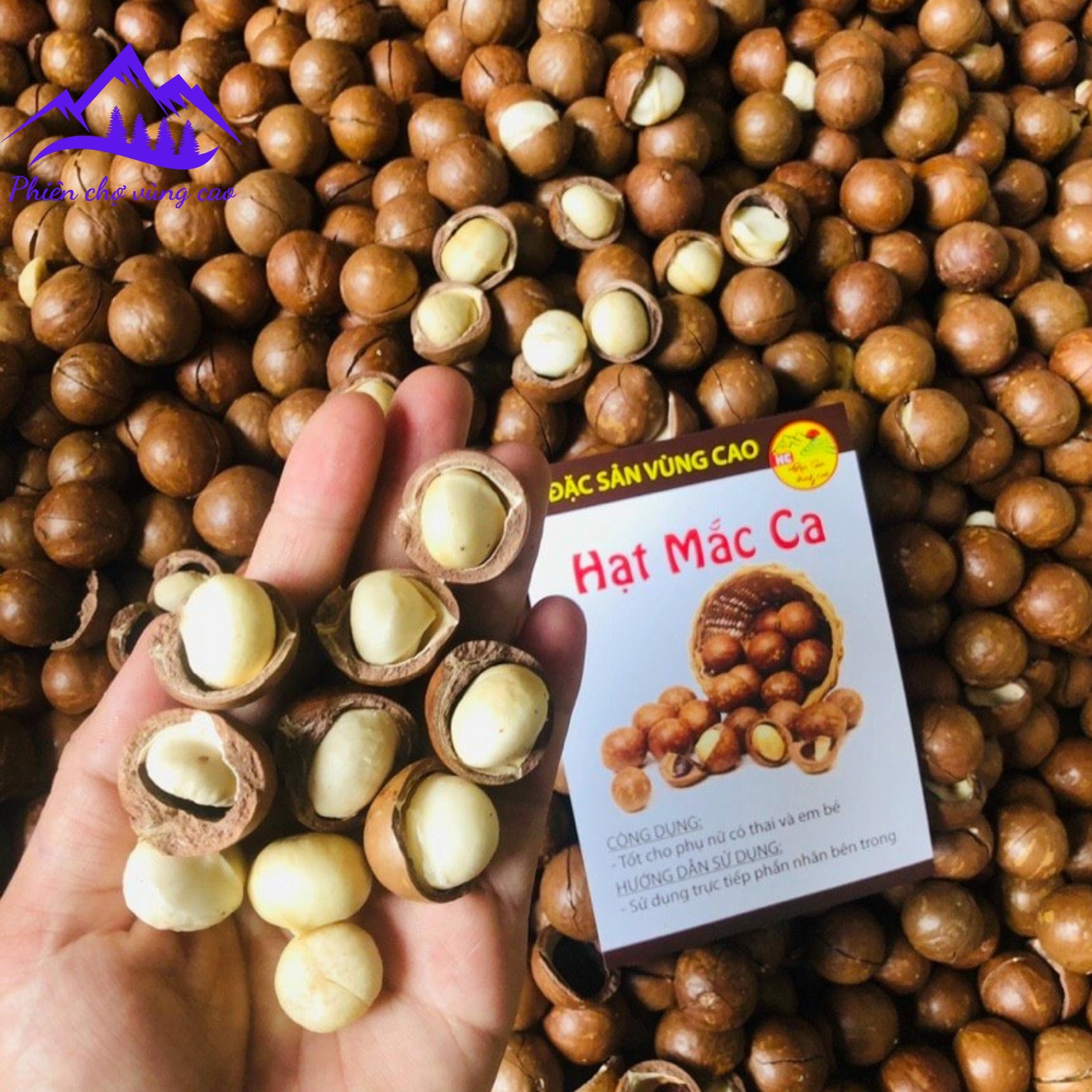 Macca Lai Châu loại 1 size lớn đại, trồng hữu cơ sấy chín từ macca tươi. Mắc ca, mac ca sấy khô chín nguyên hạt làm sữa