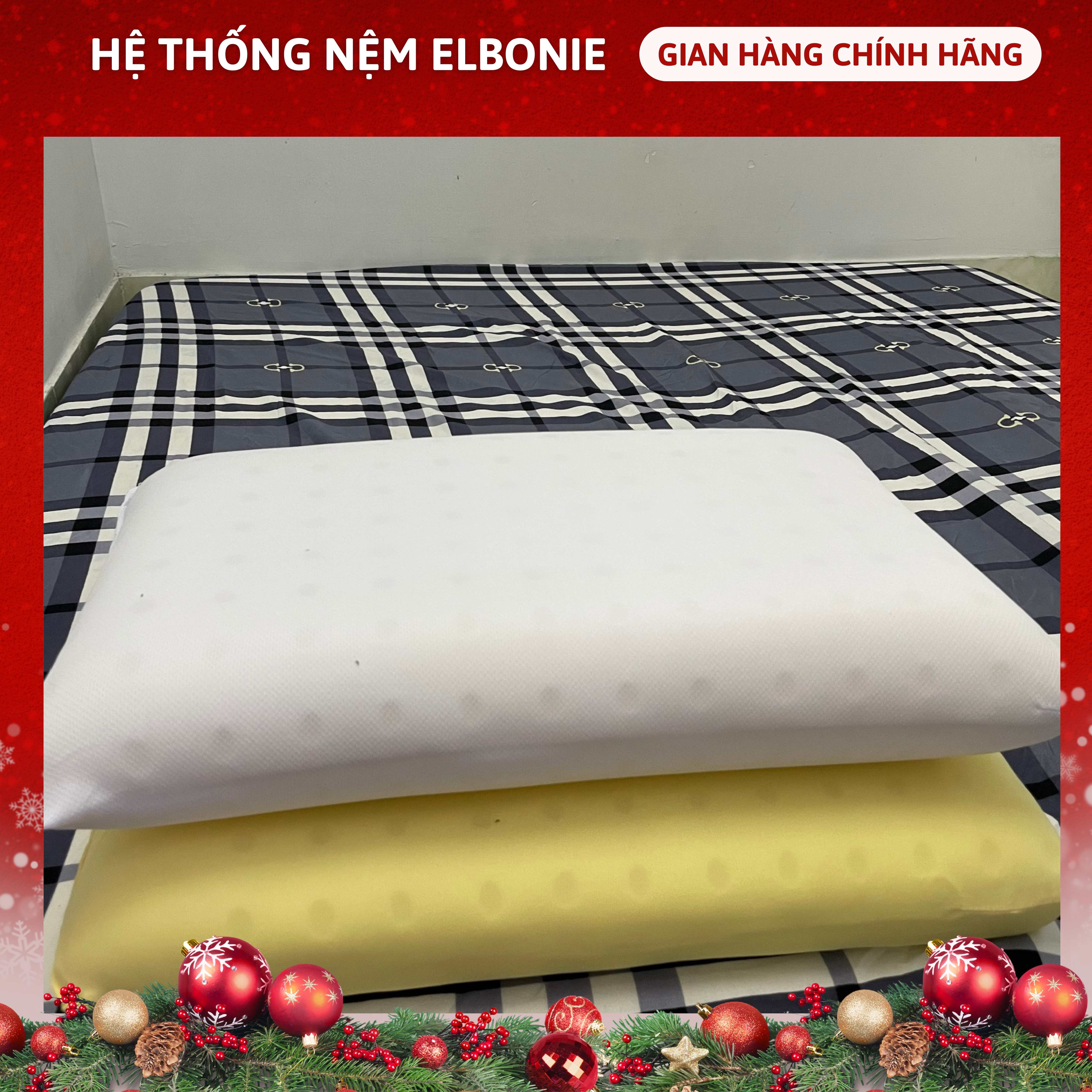 SO CHEAP PRICE - Rang Dong Latex Pillow