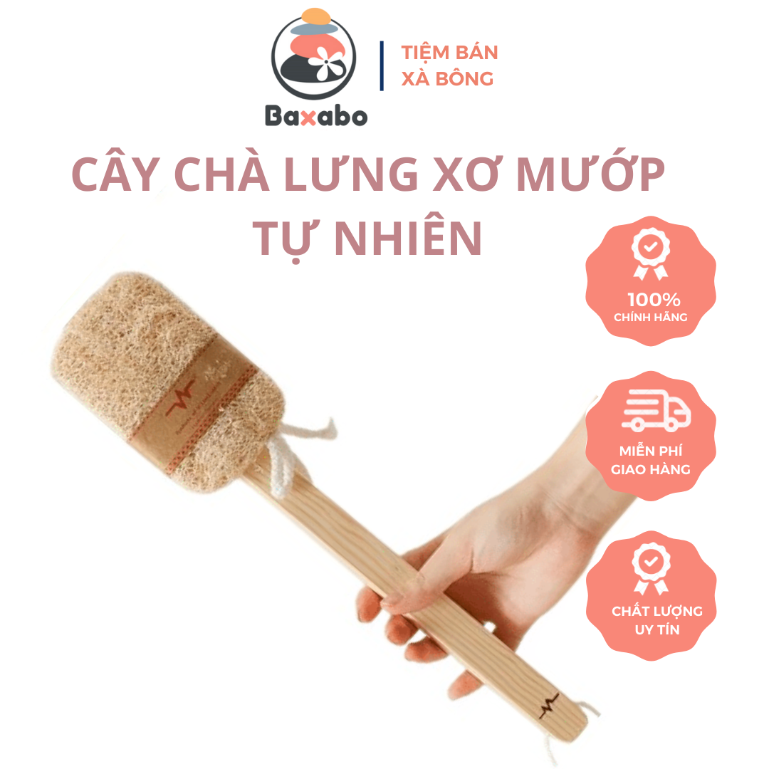 Cây chà lưng xơ mướp / cây cọ lưng tắm xơ mướp vi lâm - đại lý cấp 1 vi lâm - bền, đẹp, an toàn, thiên nhiên - baxabo