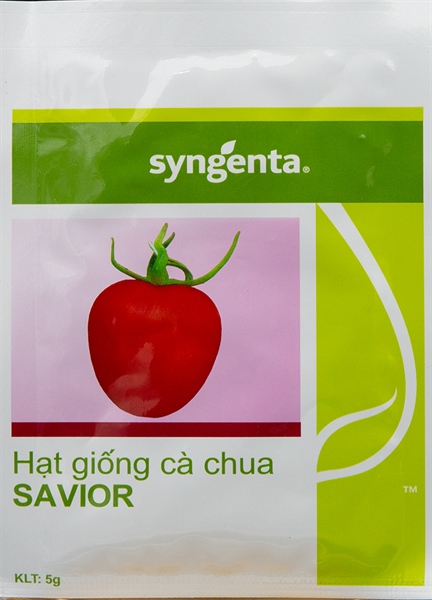 Hạt giống cà chua sygenta - 5g