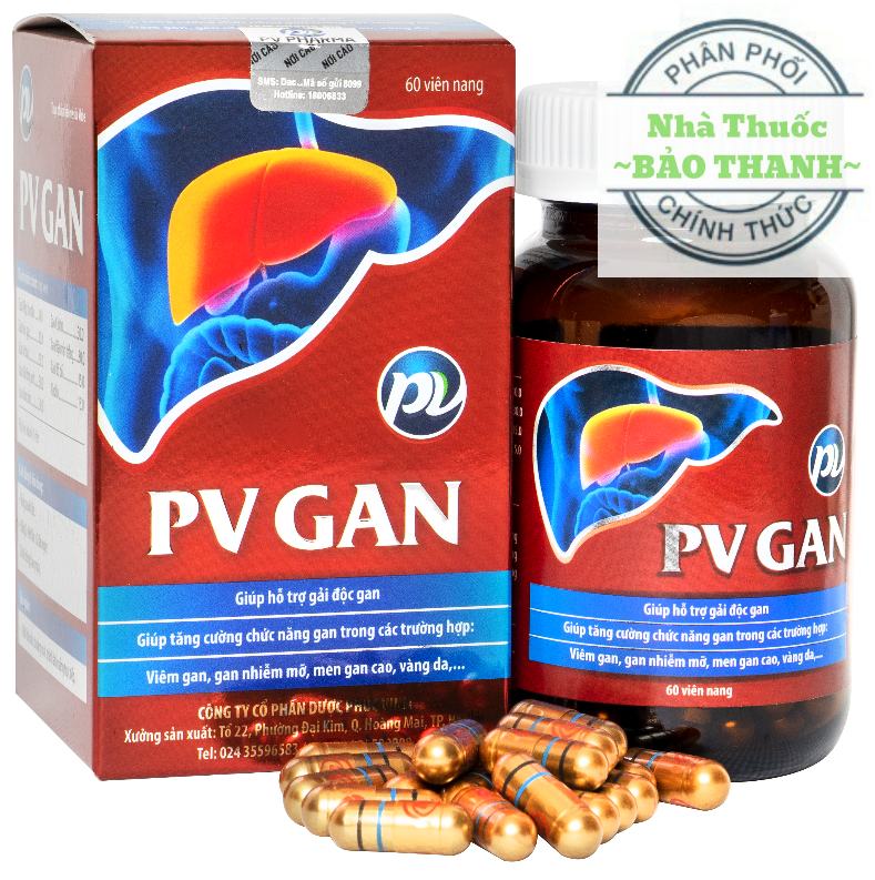 PV GAN ( PHÚC VINH ) giúp gải độc gan, tăng cường chức năng gan - Hộp 60 viên