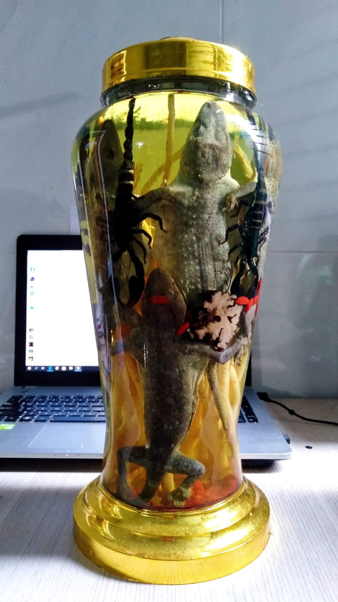 Tắc kè + bọ cạp Bình 5L  ngâm 2 cặp (tắc kè tươi dài 30cm) đảm bảo nguyên chất