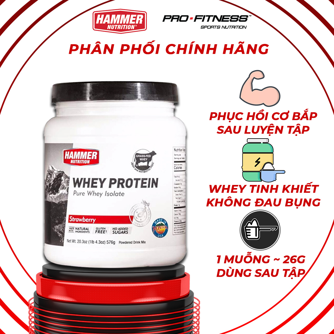 Sữa Whey Protein Hammer Nutrition 24 serving - Whey Isolate duy trì và phục hồi cơ nhanh chóng