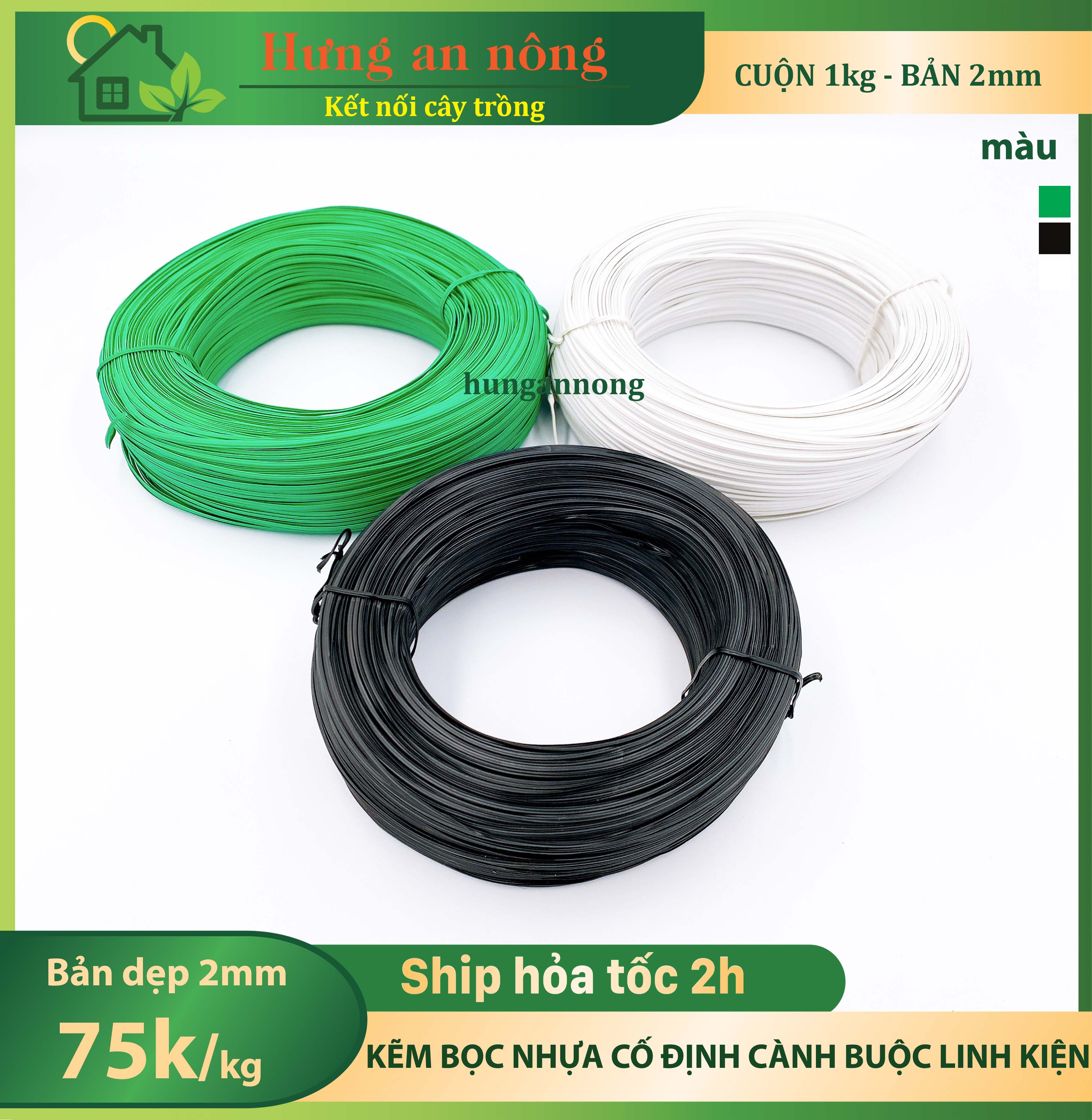 Cuộn 1kg kẽm bọc nhựa cố định cành buộn linh kiện bản dẹp 2mm nhiều màu