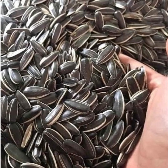 1 kg- hạt hướng dương