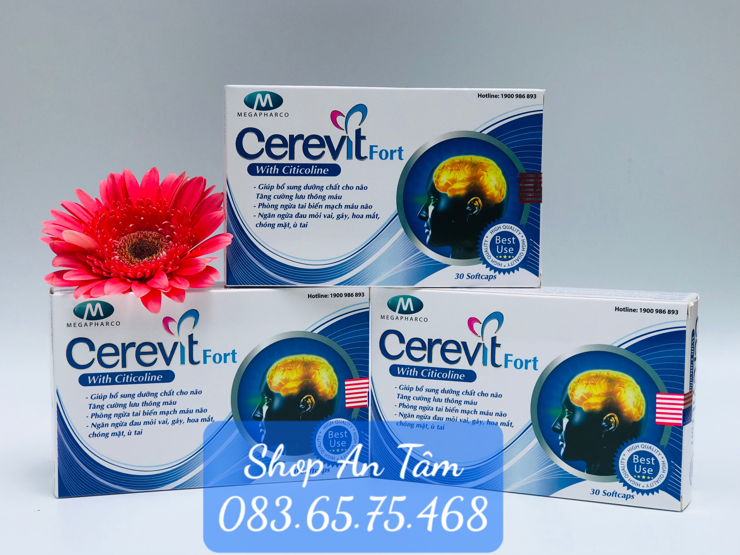 CEREVIT FORT - HOẠT HUYẾT DƯỠNG NÃO HẾT LO ĐAU ĐẦU - GIẢM TAI BIẾN MẠCH MÁU NÃO (HỘP 30 VIÊN)