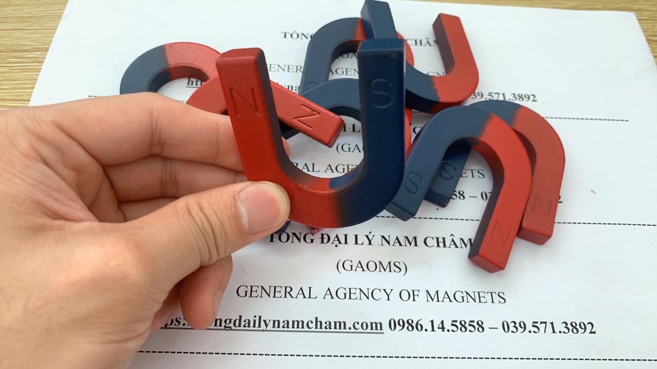 Nam châm chữ u trường học kích thước 60x50x10mm/ Nam châm thí nghiệm xanh đỏ