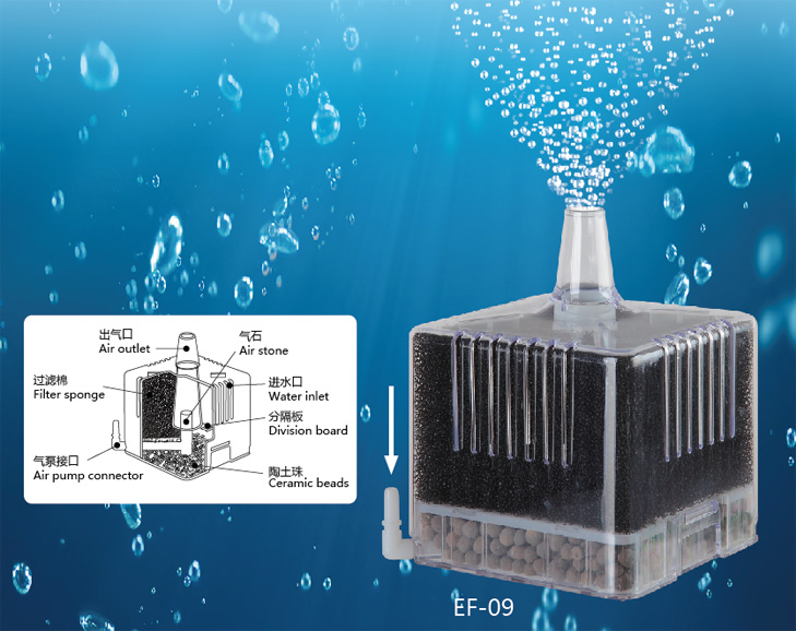 Lọc vi sinh aquablue ef 09 hỗ trợ tăng vi sinh cho hồ cálong qin laz 5