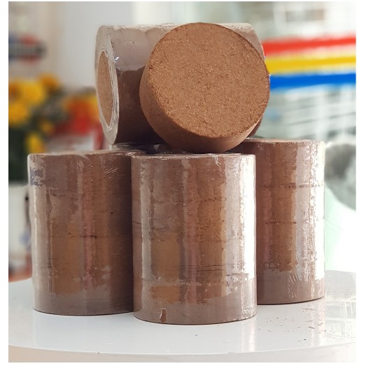 Đất nén xơ dừa trồng cây - Tốt cho mọi loại giống cây trồng