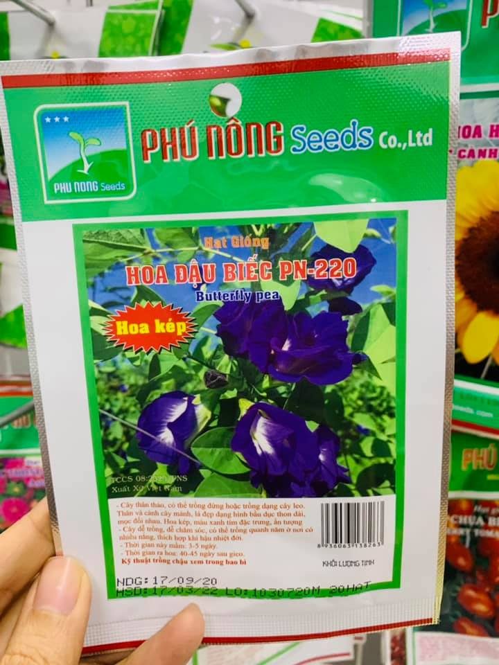 Gói 20 hạt giống hoa đậu biếc, dễ trồng, năng suất cao