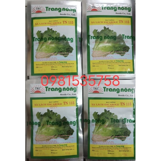 10g hạt giống xà lách giòn Carol Trang Nông TN115