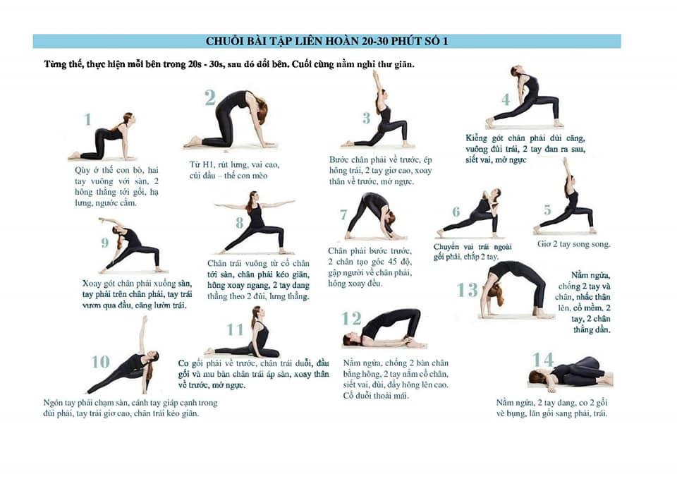 CÁC CHUỔI YOGA TRONG TẬP LUYỆN