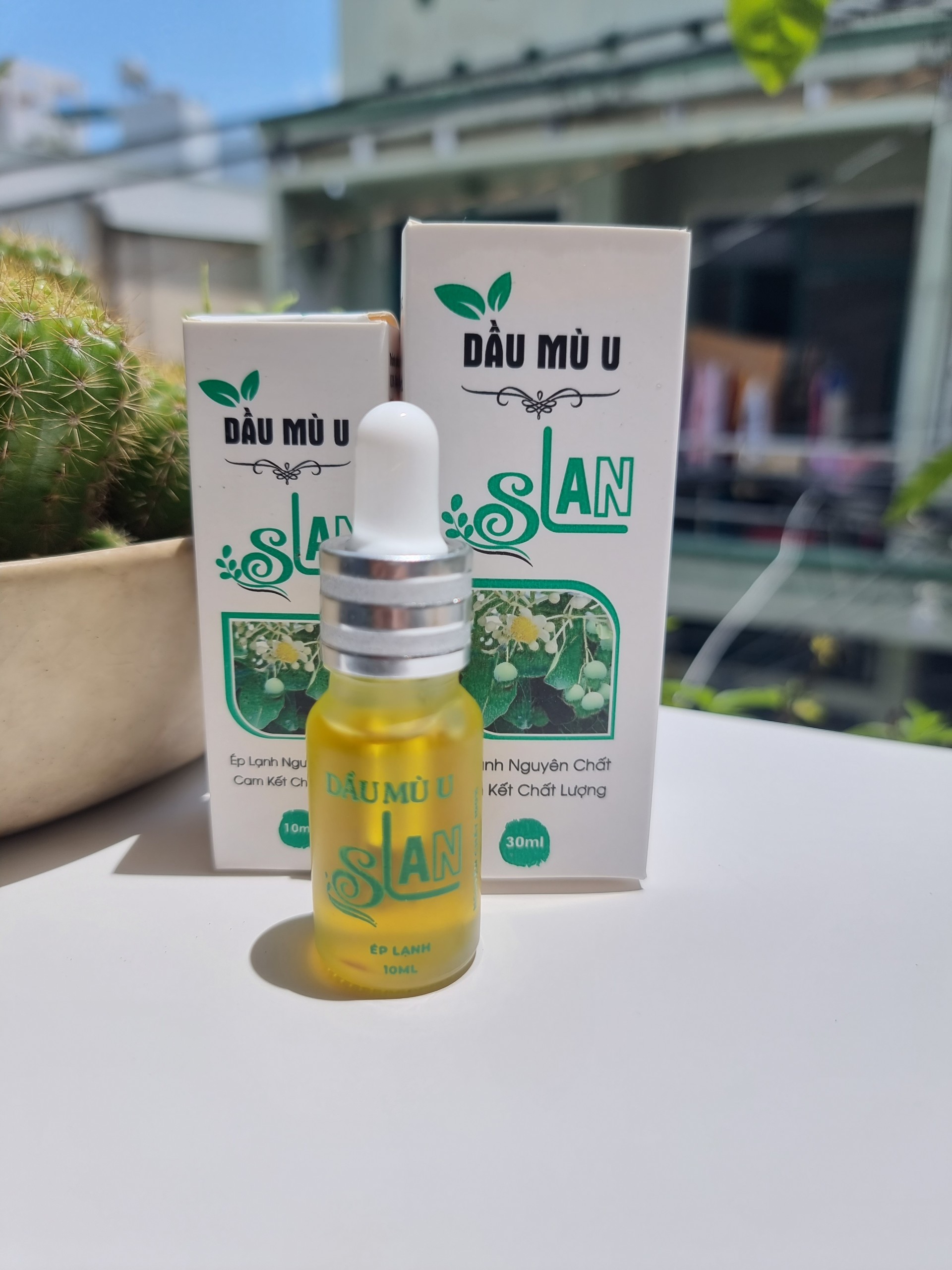 Dầu mù u slan