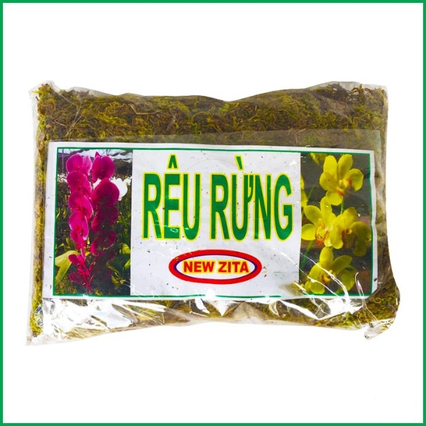 Rêu rừng trồng lan ghép lan