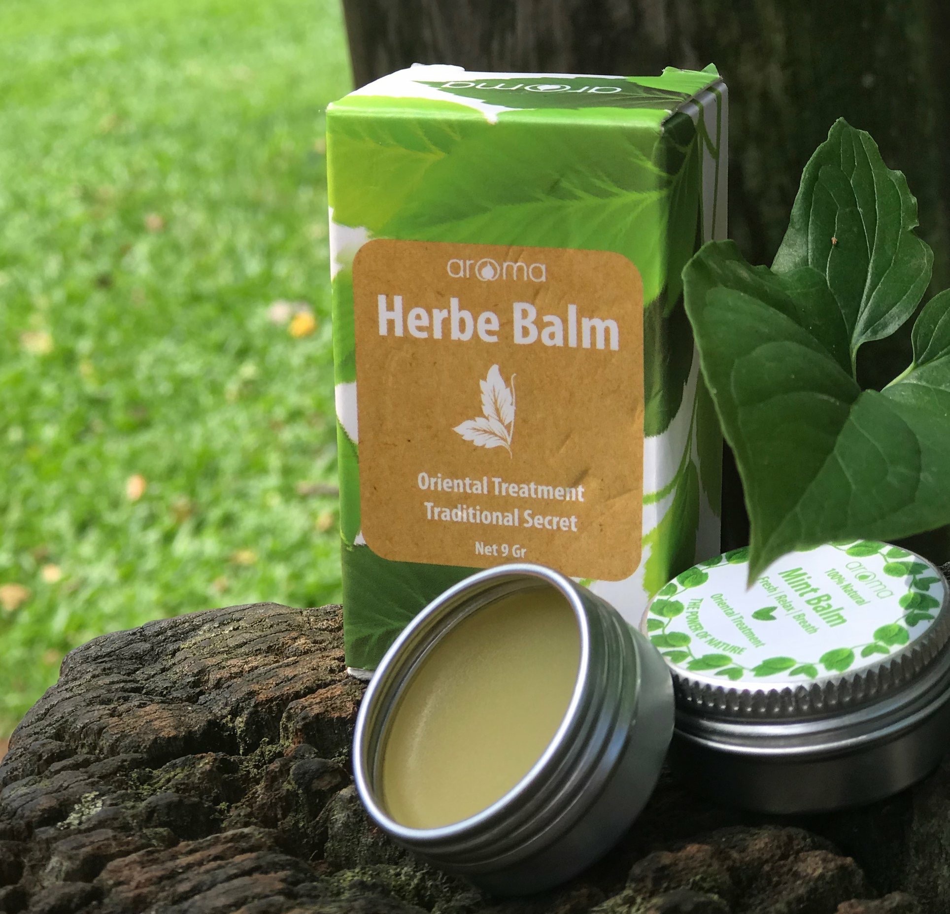 Cao tinh dầu aroma bạc hà - mint balm - giảm đau mỏi, nhức đầu, chống say xe, chống muỗi, khử mùi, tạo sự sảng khoái,