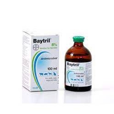 Baytril 5% chuyên gia trị khuẩn cho cá Koi có chiết lẻ 20ml