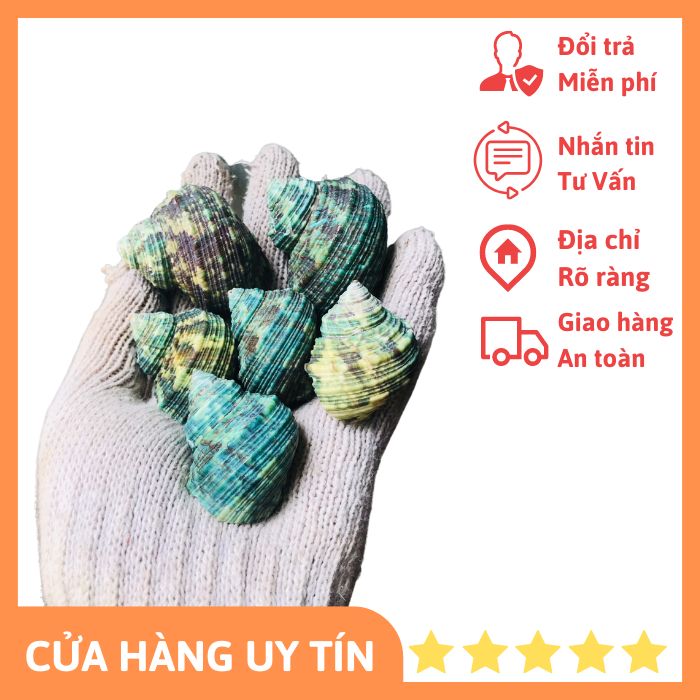 Vỏ xà cừ xanh