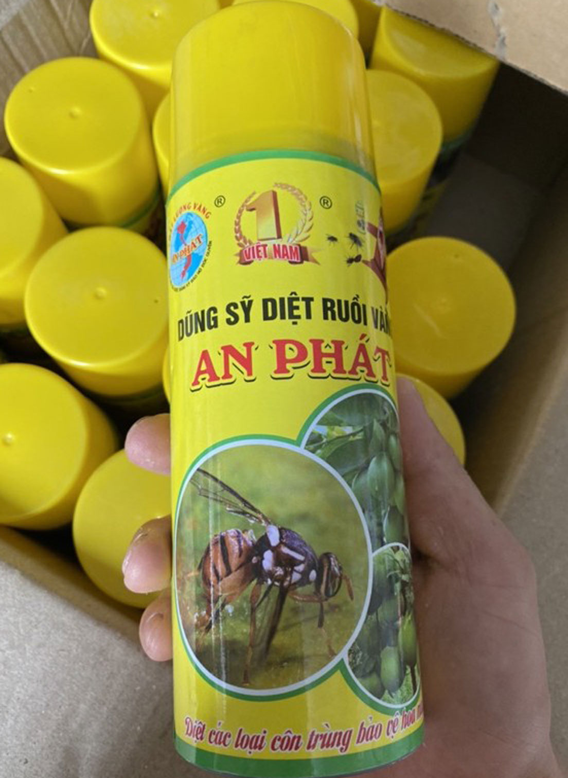 Chai xịt bẫy dính ruồi vàng An Phát Bẫy ruồi vàng An Phát Thuốc diệt ruồi vàng An Phát