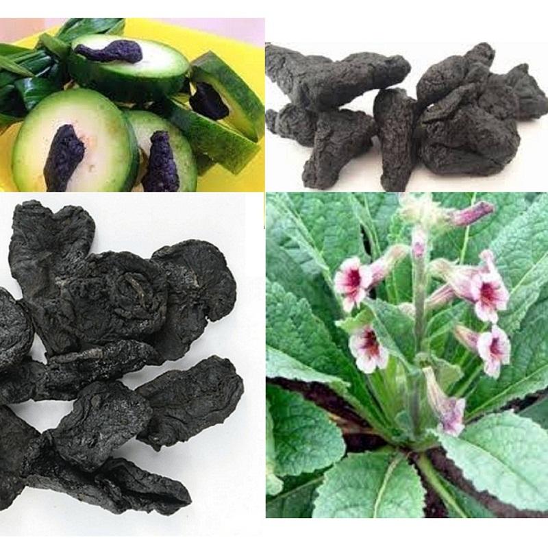 500g thục địa thiên nhiên loại tốt - có tặng quà