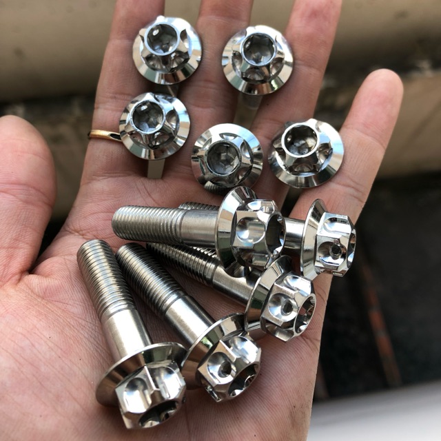 Ốc Salaza 10ly thái lạn bóng đẹp đủ size từ 2.5 - 6.0cm