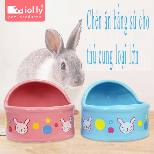 Chén ăn cho thú cưng size lớn