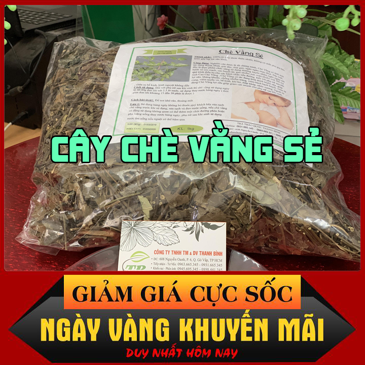 Lá chè vằng sẻ khô 100g quảng trị loại đặc biệt - dược liệu thanh bình