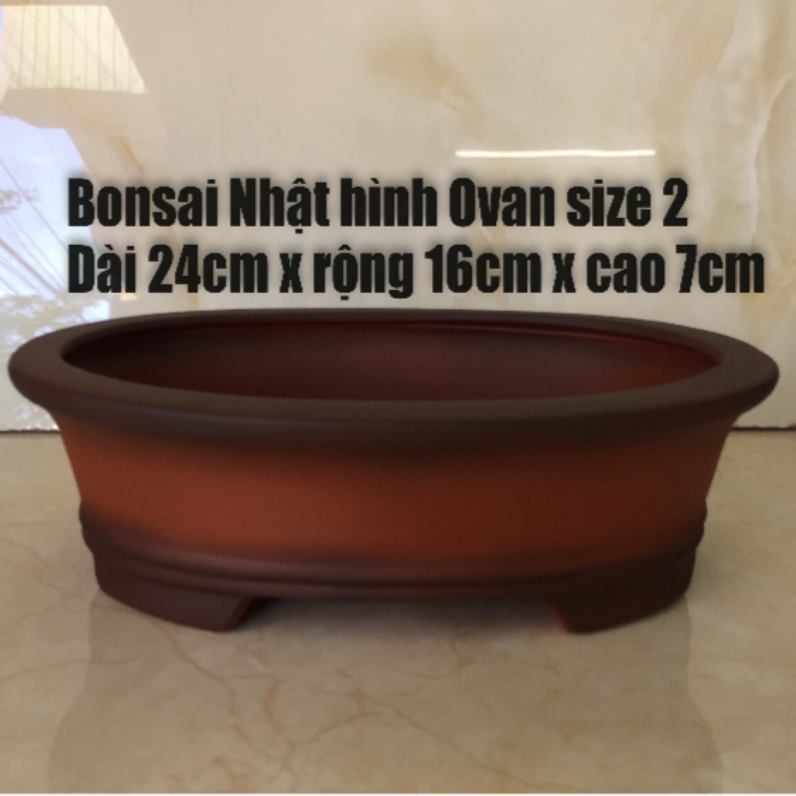 Chậu đất nung bonsai ovan kiểu Nhật