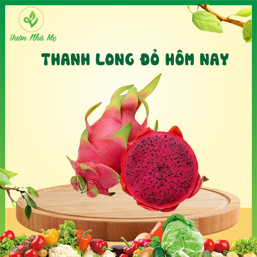 [Chỉ giao nội thành Hà Nội] Thanh long ruột đỏ Vườn Nhà Mẹ - Túi 1kg thanh long ngon - Vị ngọt thanh, thơm mát - Hoa quả tươi, sạch, chuẩn VietGap