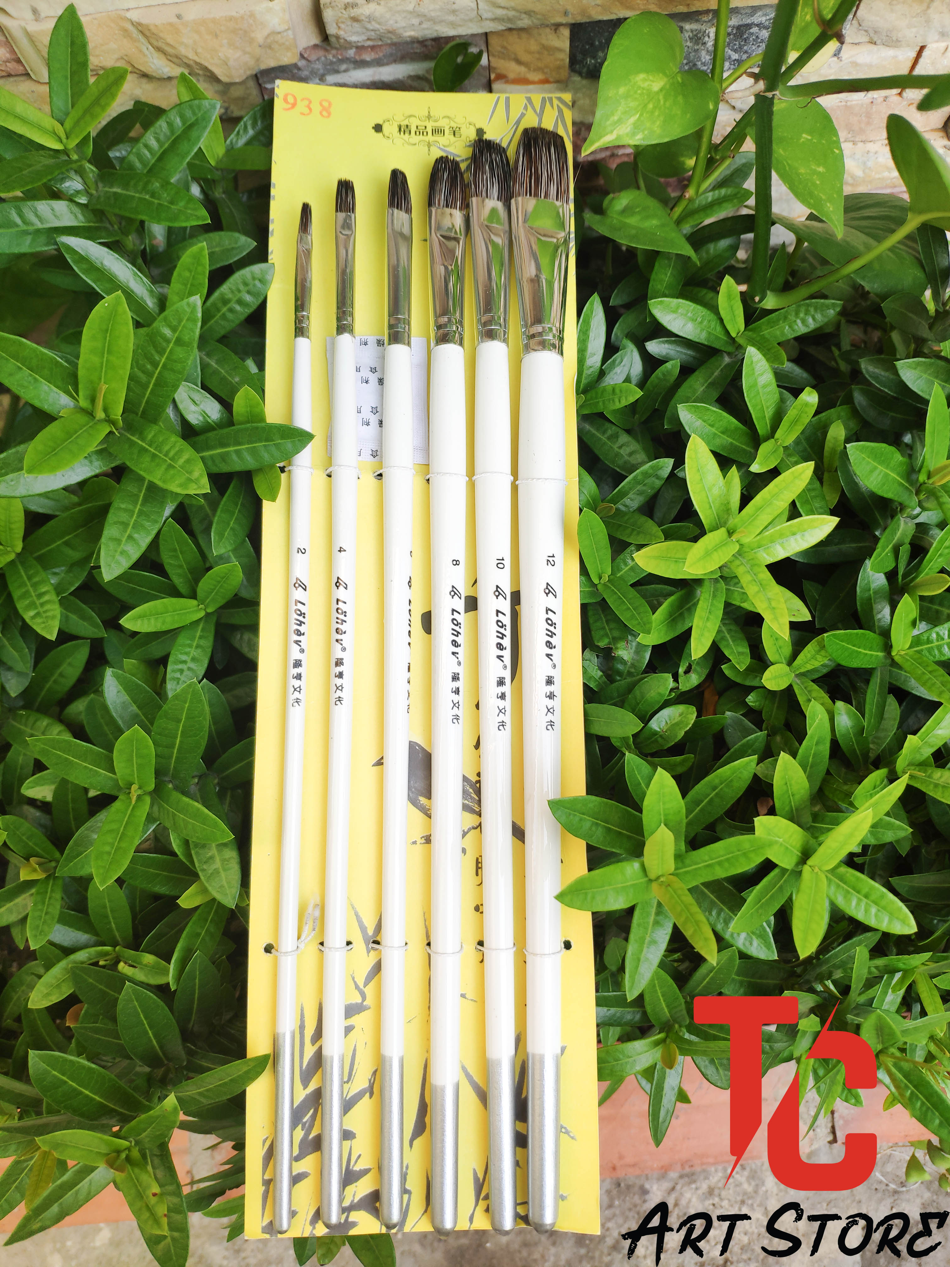 Bộ 6 cọ đầu vát oval lohev 938, bộ cọ lohev 938