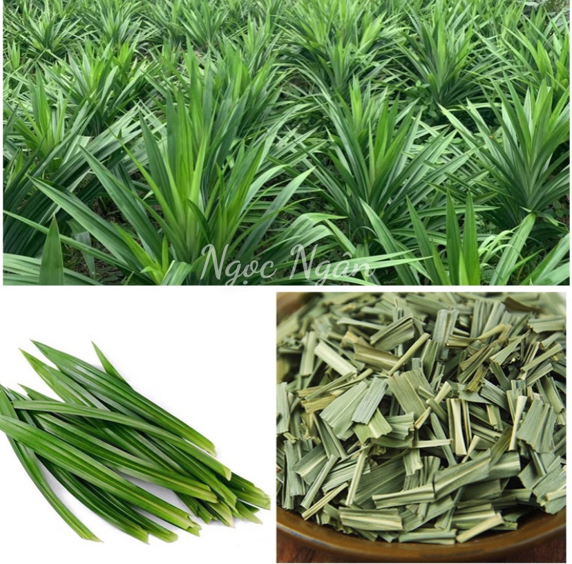 Lá dứa khô 100 gram - thực phẩm sạch nt healthy store