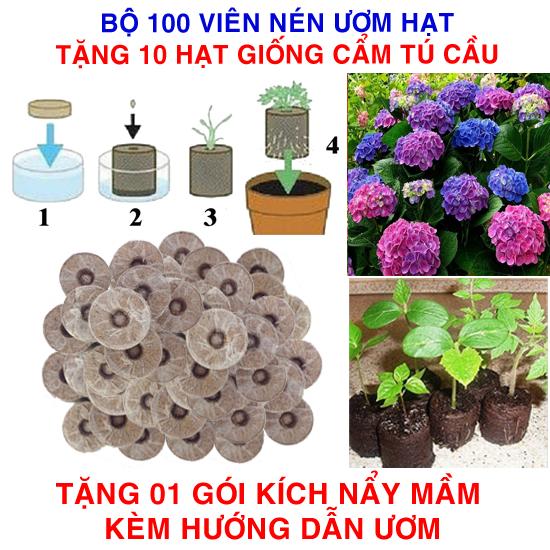 100 viên nén ươm hạt