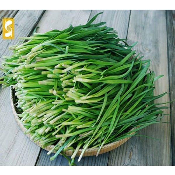 Hạt_giống_lá_hẹ 100 hạt