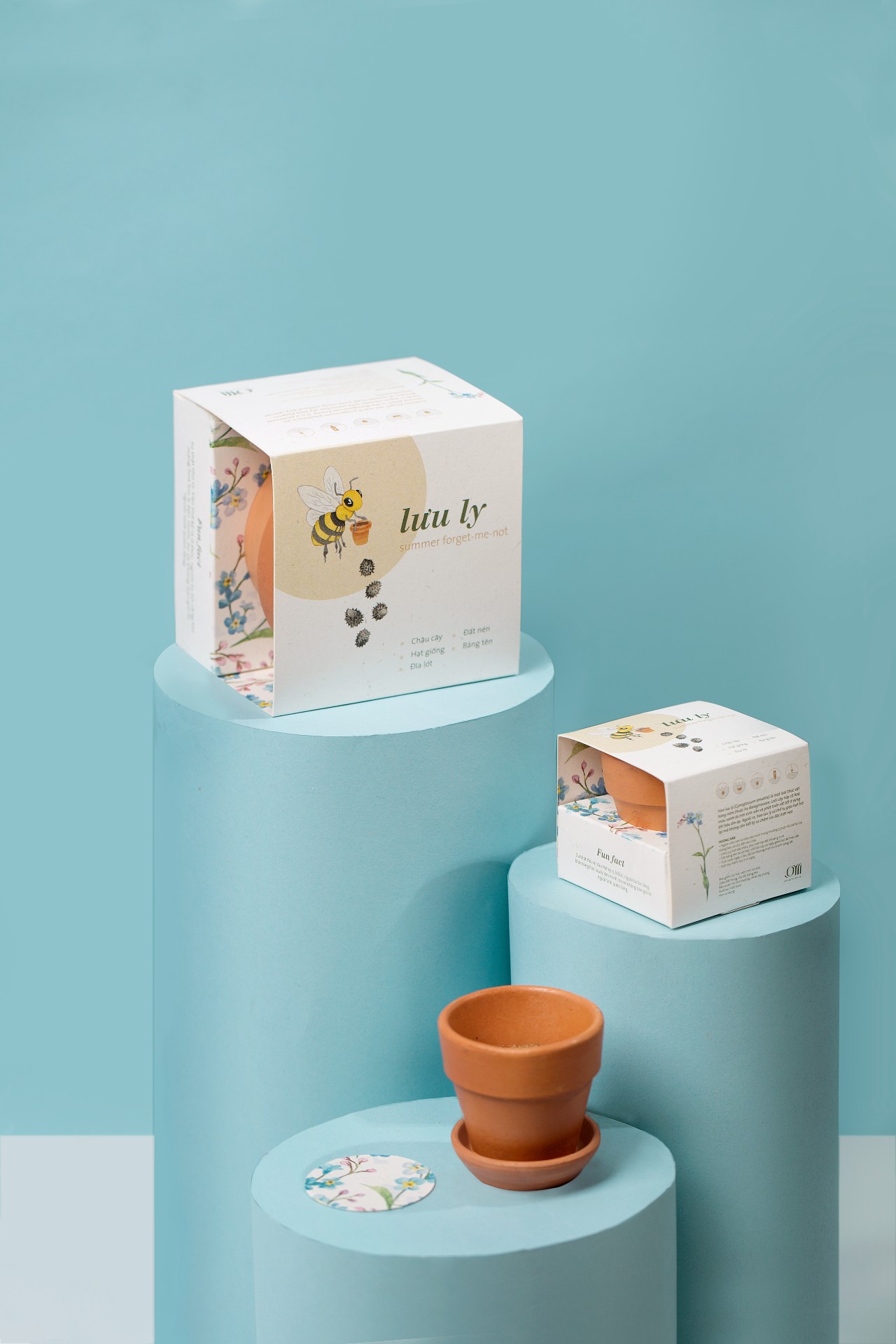 Kit trồng cây mini - lưu ly