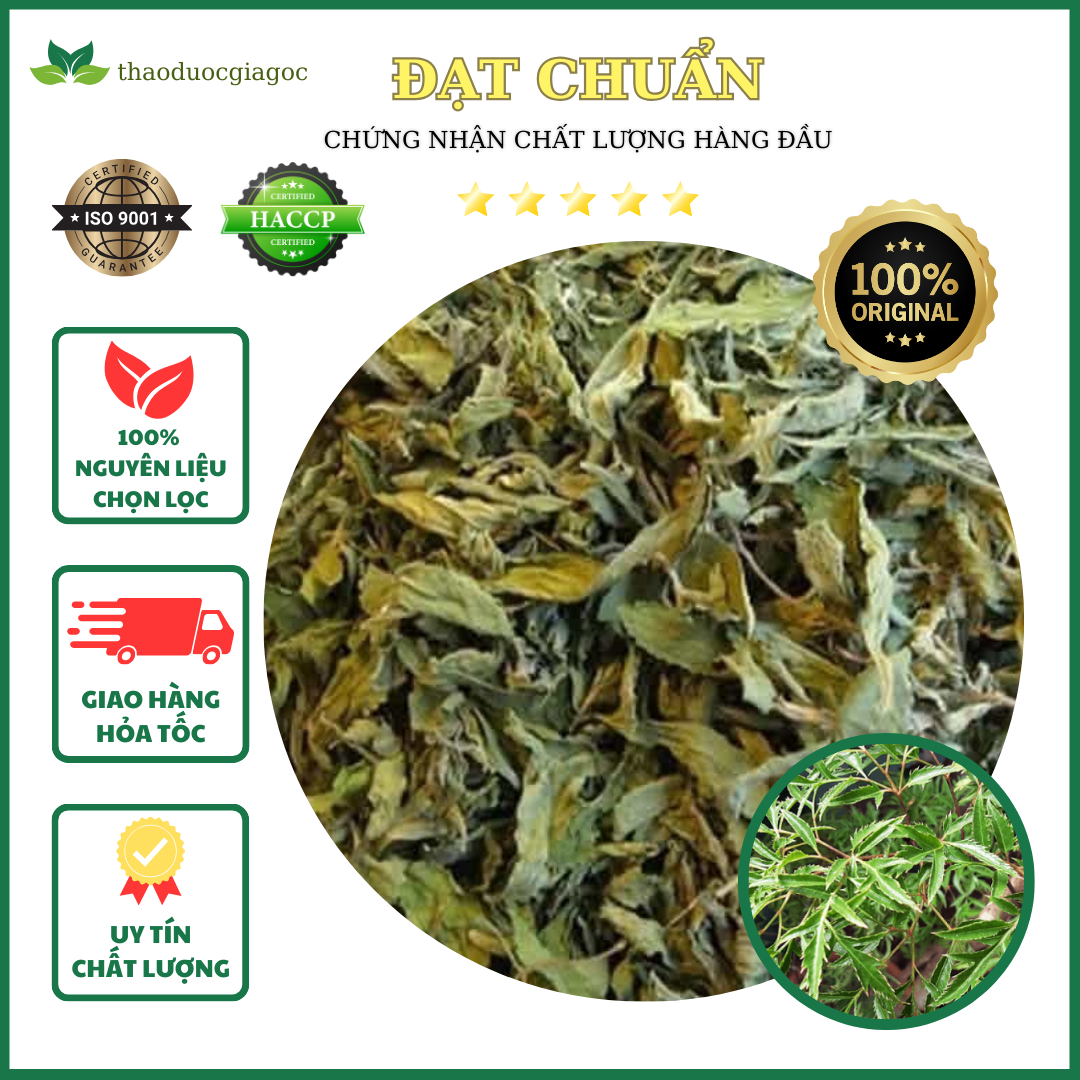 Lá đinh lăng nếp loại siêu ngon 500gr
