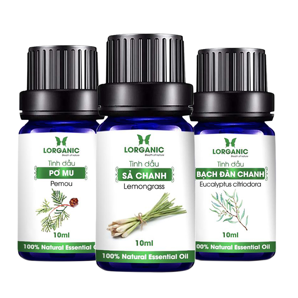 [HCM]Combo 3 chai tinh dầu pơ mu + bạch đàn chanh + sả chanh (10ml x3)