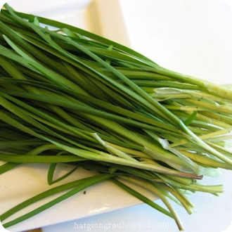 Hạt giống hẹ l&aacute; rado - g&oacute;i 1 gram