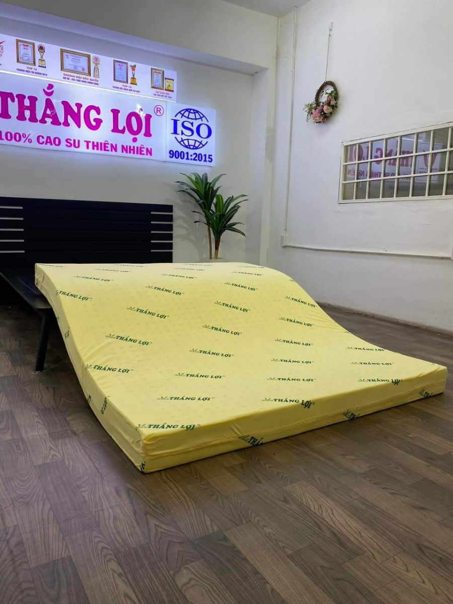 Nệm cao su non size 1m6 x 2m x 10cm thắng lợi