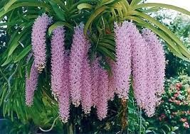 2CYAcNdcrjVUnkmLPuw6_simg_d0daf0_800x1200_max.jpg