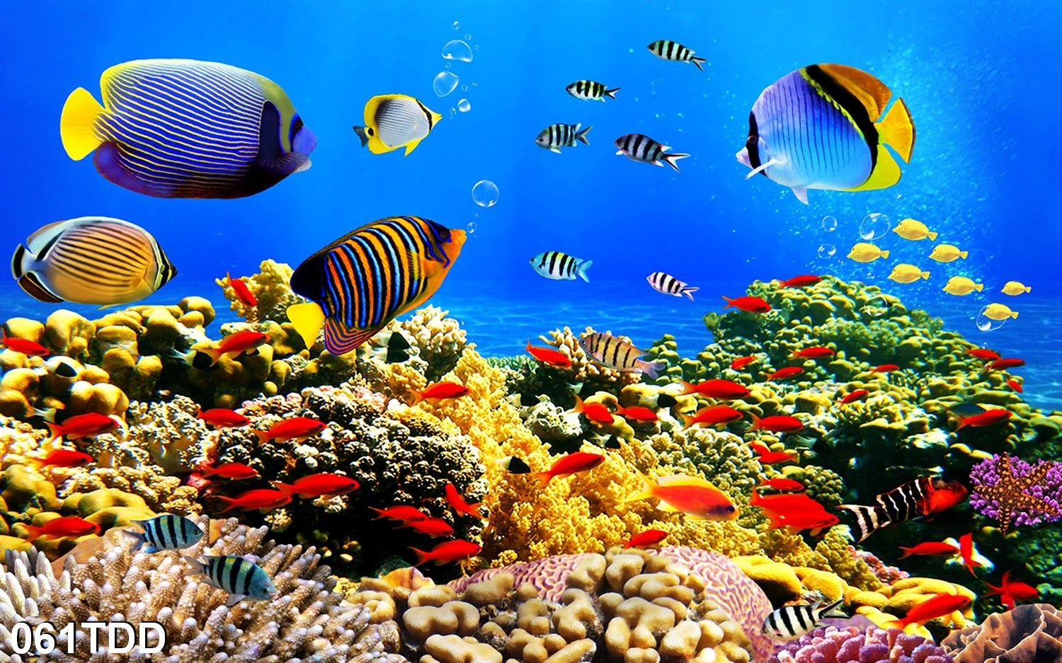 Tranh Dán Tường 3d Đại dương xanh - 061TDD- Tranh 3d Phòng khách - Song Long Decor