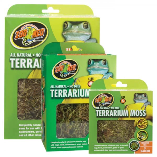 [HCM]Terrarium Moss - Rêu lót chuồng cho Bò Sát Lưỡng Cư